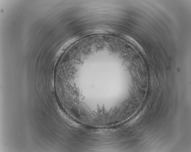 X0000078240938200611251235