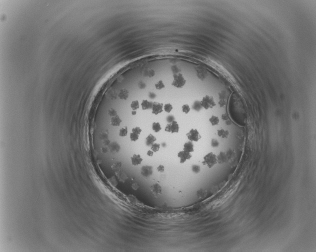 X0000078240939200611251235