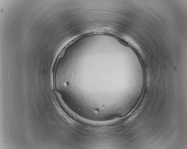 X0000078240940200611251235