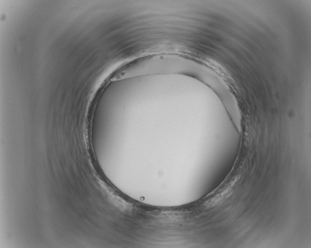 X0000078240942200611251235