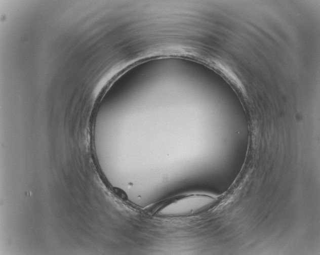 X0000078240944200611251235