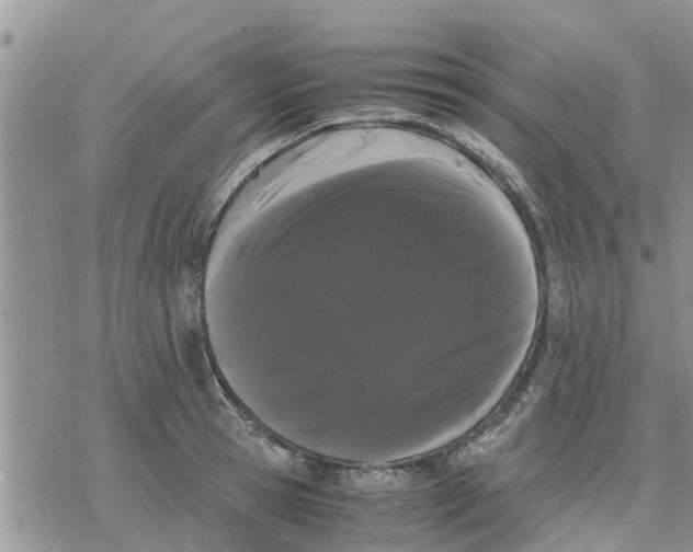 X0000078240945200611251235