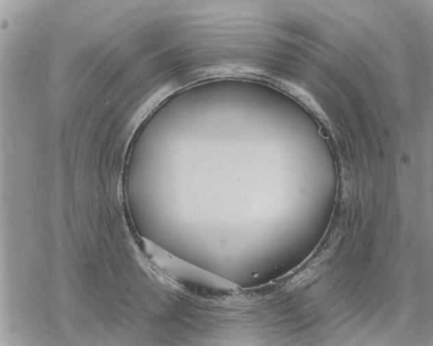 X0000078240946200611251235