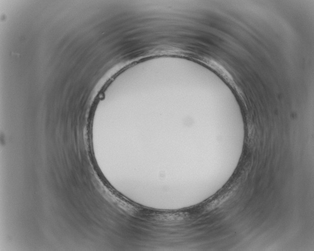 X0000078240947200611251235