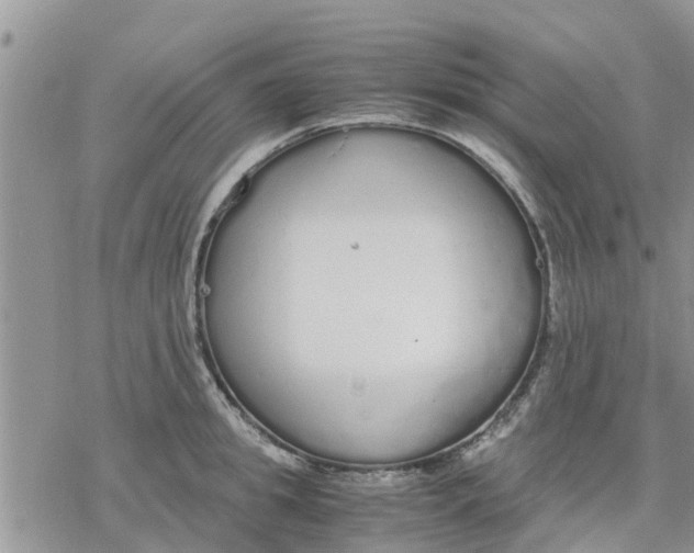 X0000078240949200611251235