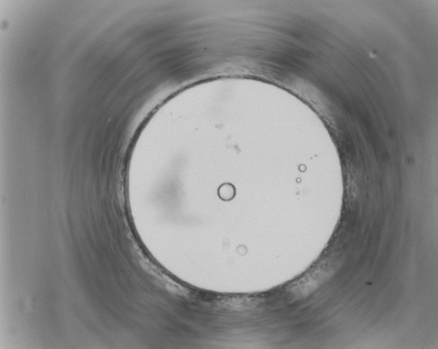 X0000078240950200611251235