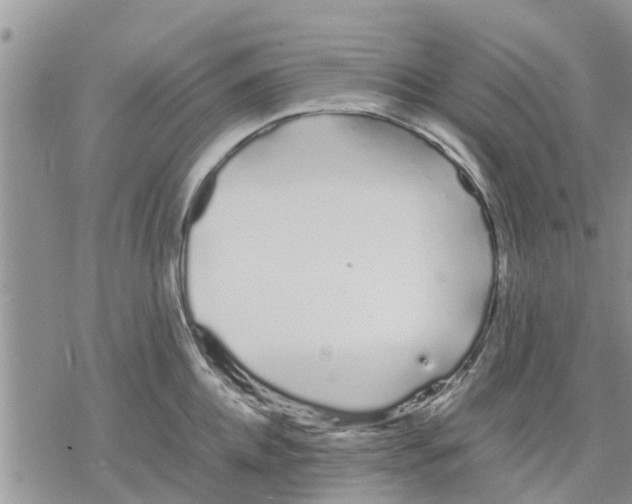 X0000078240952200611251235