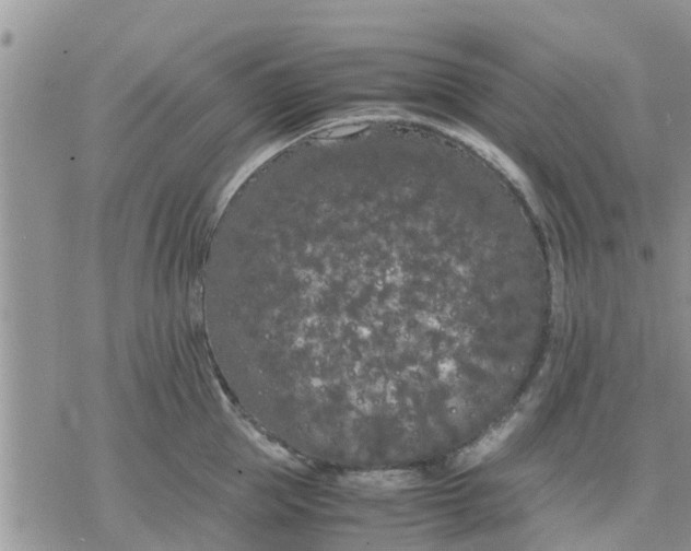 X0000078240953200611251235