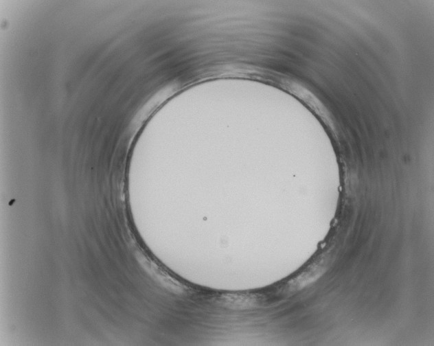 X0000078240954200611251235