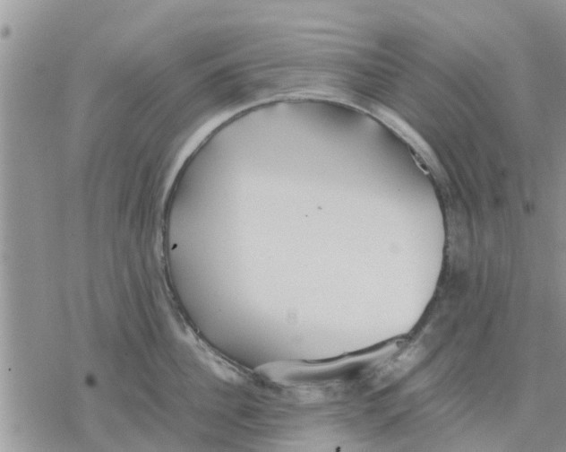 X0000078240956200611251235