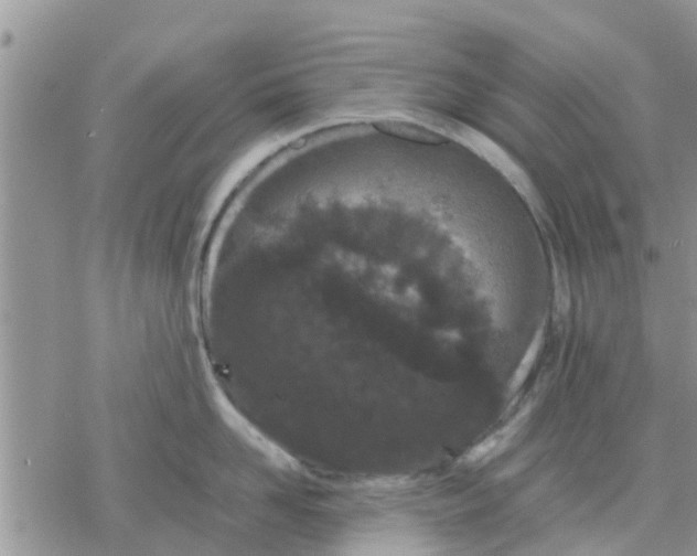 X0000078240958200611251235