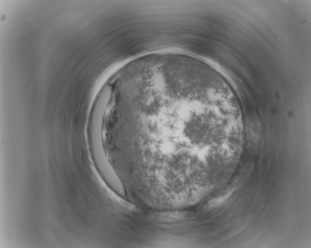 X0000078240959200611251235