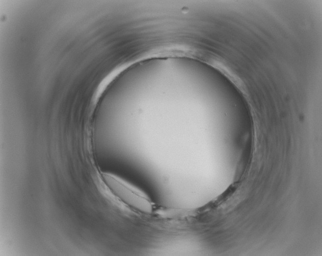 X0000078240960200611251236