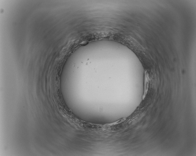 X0000078240961200611251235