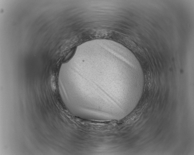 X0000078240962200611251235