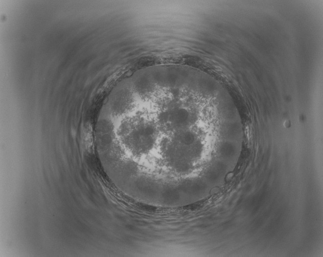 X0000078240963200611251235