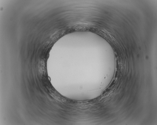 X0000078240964200611251235