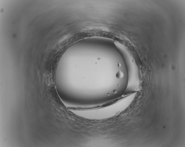 X0000078240965200611251235