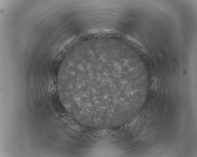 X0000078240966200611251235