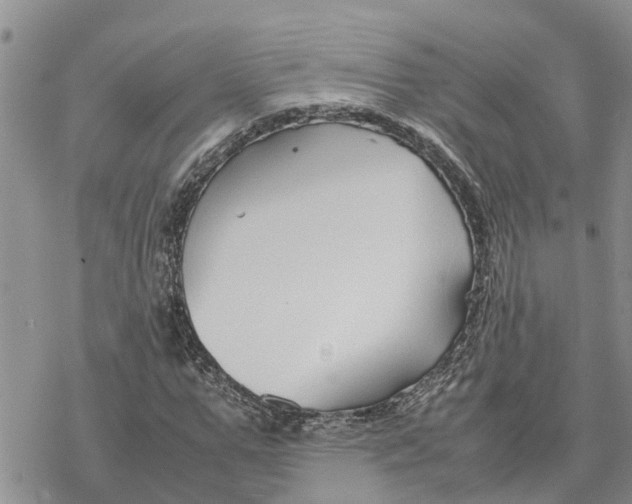 X0000078240967200611251235