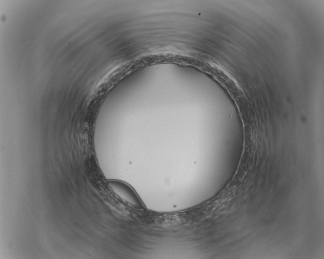 X0000078240968200611251235