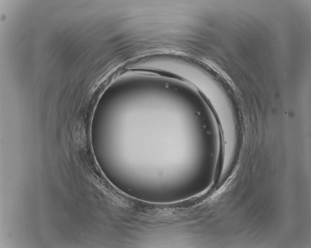 X0000078240969200611251235