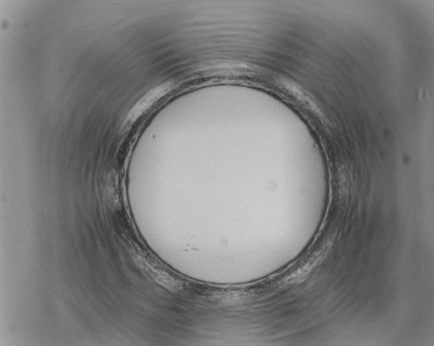 X0000078240970200611251235