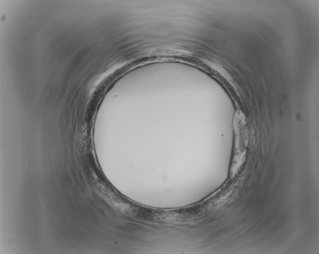 X0000078240971200611251235