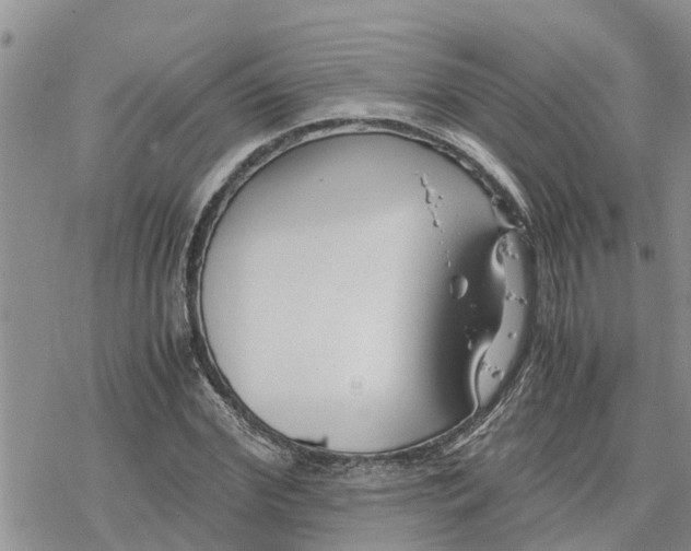 X0000078240972200611251235