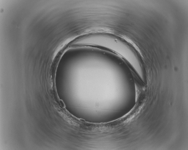 X0000078240973200611251235