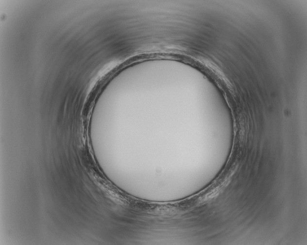 X0000078240974200611251235