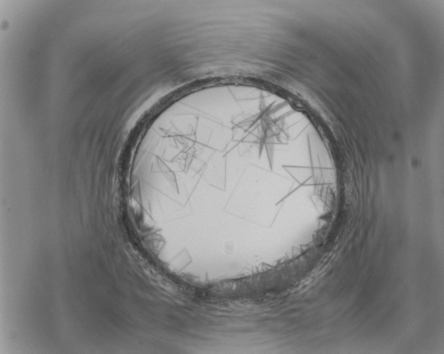 X0000078240975200611251235