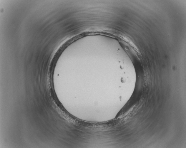 X0000078240976200611251234