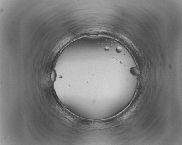 X0000078240977200611251234