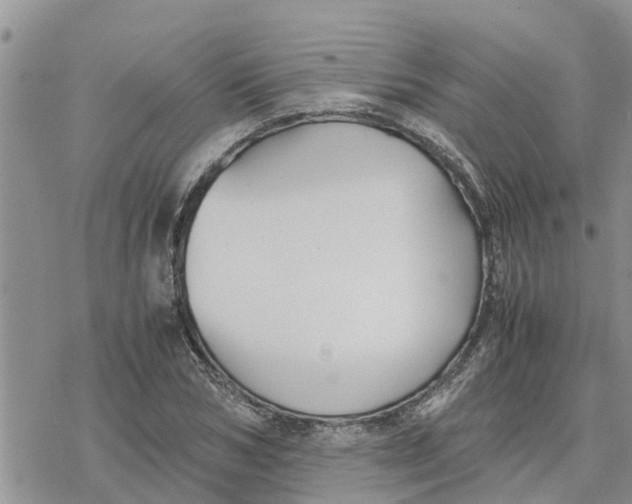 X0000078240978200611251234