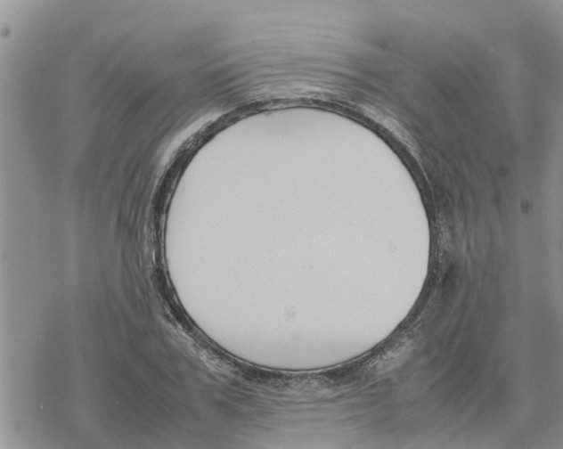 X0000078240979200611251234