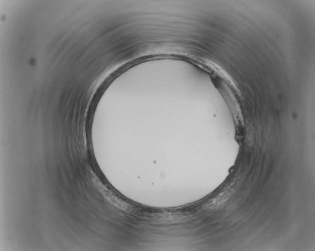 X0000078240980200611251234