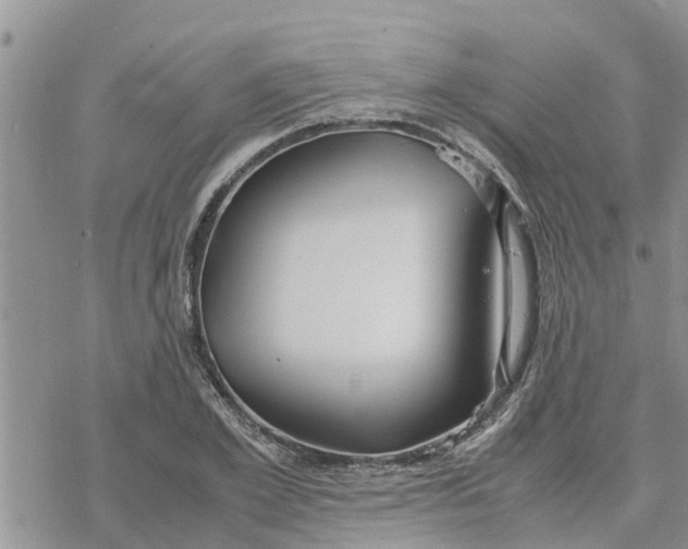 X0000078240981200611251234