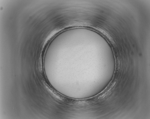 X0000078240982200611251234