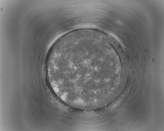 X0000078240983200611251234