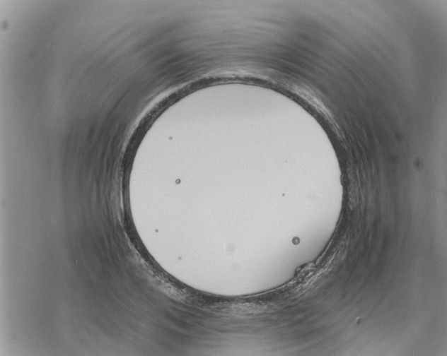 X0000078240984200611251234