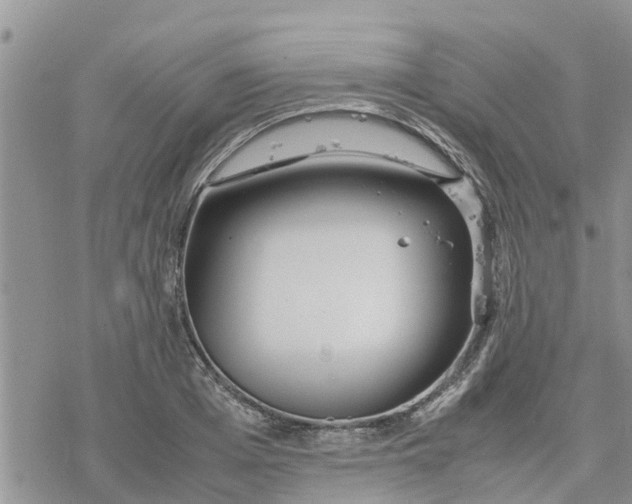 X0000078240985200611251234