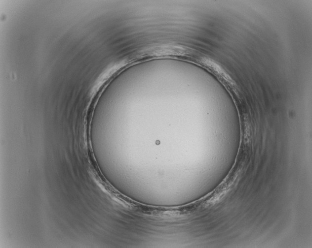 X0000078240986200611251234