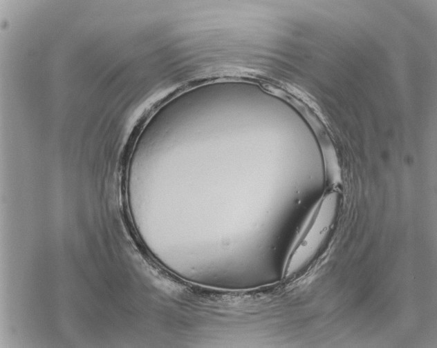 X0000078240987200611251234