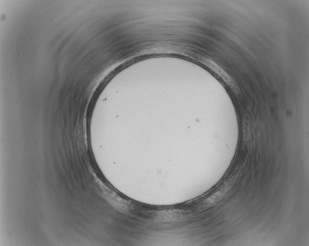 X0000078240988200611251234