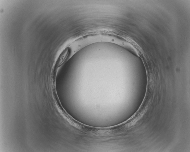 X0000078240989200611251234