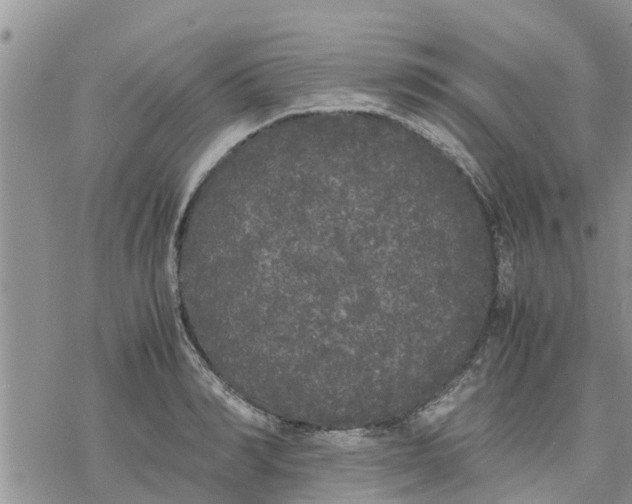 X0000078240990200611251234