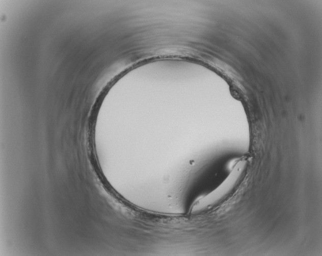 X0000078240991200611251234