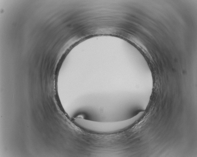 X0000078240992200611251234