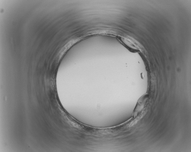 X0000078240993200611251234